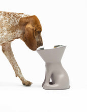 Load image into Gallery viewer, UNITED PETS - ELIZABETH - THE QUEEN OF BOWL