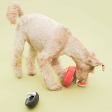 Load image into Gallery viewer, THE FURRYFOLKS - TINNED MUSSEL NOSEWORK TOY