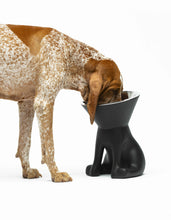 Load image into Gallery viewer, UNITED PETS - ELIZABETH - THE QUEEN OF BOWL