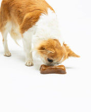 Load image into Gallery viewer, UNITED PETS - CHEEWI