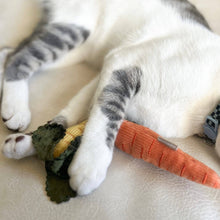 Load image into Gallery viewer, LAMBWOLF COLLECTIVE - KITTY BABY CARROTS