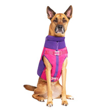 Load image into Gallery viewer, CANADA POOCH - HIGH TIDE DOG LIFE JACKET PINK/PURPLE