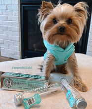 Load image into Gallery viewer, WAG & BRIGHT - PUPPY POLISHER ECO TOOTHBRUSH