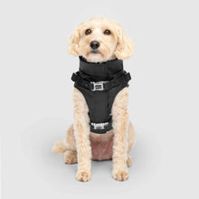 Load image into Gallery viewer, CANADA POOCH - HARNESS RAINCOAT BLACK
