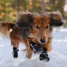 Load image into Gallery viewer, FINNERO - HALLA SOFTSHELL BOOTIES