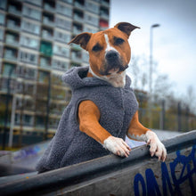 Load image into Gallery viewer, SPARK PAWS - TEDDY SHERPA JACKET - GREY