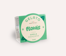Load image into Gallery viewer, FLOWIS - ITALIAN ICE CREAM - DIFFERENT TASTES