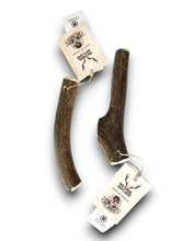 Load image into Gallery viewer, MR. BONES - DEER ANTLER