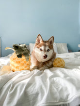 Load image into Gallery viewer, LAMBWOLF COLLECTIVE - PINEAPPLE