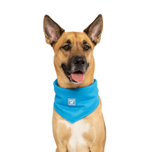 Load image into Gallery viewer, CANADA POOCH - CHILL SEEKER COOLING BANDANA BLUE