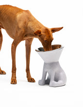 Load image into Gallery viewer, UNITED PETS - ELIZABETH - THE QUEEN OF BOWL