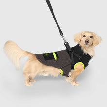 Load image into Gallery viewer, CANADA POOCH - COOL FACTOR HARNESS JACKET