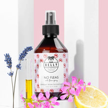 Load image into Gallery viewer, BELLY - ANTI FLEAS SPRAY