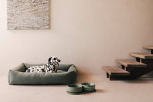 Load image into Gallery viewer, PINO PETS - CLASSIC BOWL - CROCODILE - SOLID