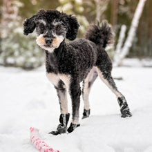 Load image into Gallery viewer, FINNERO - HALLA SOFTSHELL BOOTIES
