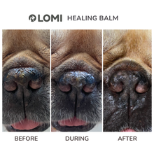 Load image into Gallery viewer, LOMI - HEALING BALM - FOR DOGS & CATS