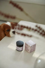 Load image into Gallery viewer, DOG'S LOVE - NATURAL PAW BALM WITH ORGANIC OILS