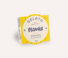 Load image into Gallery viewer, FLOWIS - ITALIAN ICE CREAM - DIFFERENT TASTES