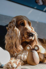 Load image into Gallery viewer, UNITED PETS - TATO