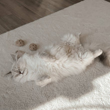 Load image into Gallery viewer, LAMBWOLF COLLECTIVE - KITTY TEA TIME