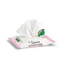 Load image into Gallery viewer, BECO - BAMBOO DOG WIPES TRAVEL