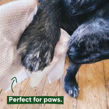 Load image into Gallery viewer, BECO - BAMBOO DOG WIPES TRAVEL
