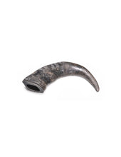 Load image into Gallery viewer, RECORD - BUFFALO HORNS