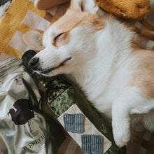 Load image into Gallery viewer, LAMBWOLF COLLECTIVE - MERLOT