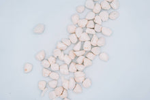 Load image into Gallery viewer, WILD N FRESH TREATS - FREEZE-DRIED SCALLOPS