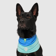 Load image into Gallery viewer, CANADA POOCH - MAX CHILL COOLING SNOOD - BLUE