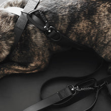 Load image into Gallery viewer, LAMBWOLF COLLECTIVE - MELLEM - CONVERTIBLE WATERPROOF LEASH