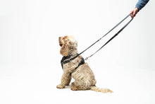 Load image into Gallery viewer, UNITE PETS - GUMI MULTIFUNCTIONAL TRAINING LEASH - BLACK