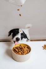 Load image into Gallery viewer, VEGDOG - SIMPLY CRUNCH
