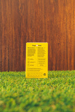 Load image into Gallery viewer, CANUMI - GREEN-LIPPED MUSSEL