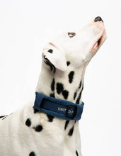Load image into Gallery viewer, UNITED PETS - PADDED SOFT COLLAR - DENIM