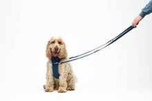 Load image into Gallery viewer, UNITE PETS - GUMI MULTIFUNCTIONAL TRAINING LEASH - BLUE