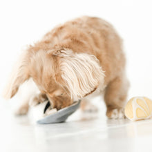 Load image into Gallery viewer, LAMBWOLF COLLECTIVE - GILLARDEAU