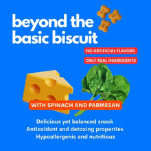 Load image into Gallery viewer, JAMPY - POP A BISCUIT - SAVORY CAKE