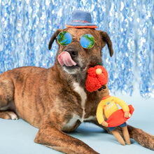 Load image into Gallery viewer, THE FURRYFOLKS - SURFER HOOMAN NOSEWORK TOY