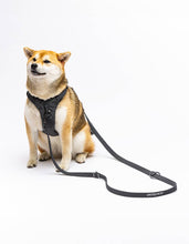 Load image into Gallery viewer, UNITED PETS - NYLON TRAINING LEASH - GREEN