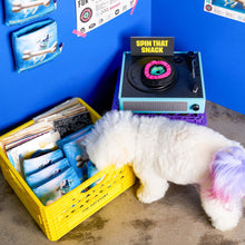 Load image into Gallery viewer, THE FURRYFOLKS - VINYL