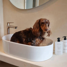 Load image into Gallery viewer, DOGSPA - SENSITIVE CONDITIONER