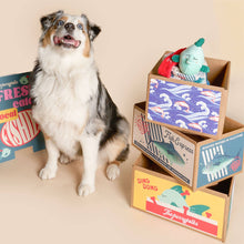 Load image into Gallery viewer, THE FURRYFOLKS - FISH EXPRESS