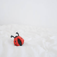 Load image into Gallery viewer, LAMBWOLF COLLECTIVE - LADYBUG POP