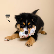 Load image into Gallery viewer, VEGDOG - BRAINY BITES