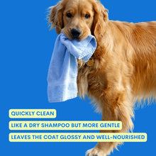 Load image into Gallery viewer, JAMPY - ONE TWO CLEAN - CLEANING GEL NO RINSE