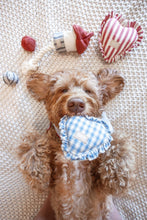 Load image into Gallery viewer, LAMBWOLF COLLECTIVE - ROCKET CONFETTI