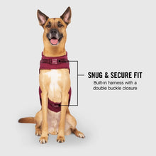 Load image into Gallery viewer, CANADA POOCH - HARNESS PUFFER RAINCOAT PLUM
