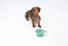 Load image into Gallery viewer, UNITED PETS - FOLDABLE TRAVEL BOWL