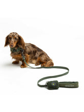 Load image into Gallery viewer, UNITED PETS - LEASH WITH PADDED HANDLE - GREEN